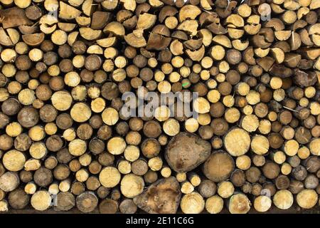 Stapel Feuerholz. Vorbereitung des Feuerholzes für den Winter. Brennholz Hintergrund. Hintergrund von trockenem gehacktem Brennholz. Holzhintergrund Stockfoto