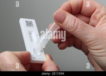 Coronavirus-Test mit einem Testkit für Lateral Flow Device. Stockfoto