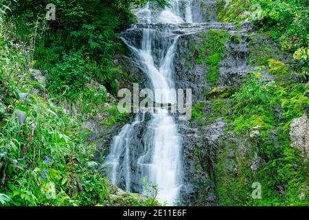 Stimmungsvoller Blick auf den Wasserfall am Fluss im Regenwald. Schneller Strom zwischen Felsen und grünem Moos. Stockfoto