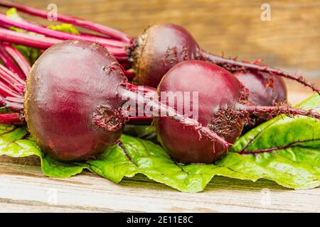 Rote Bete Knollen mit grünen Blättern auf Holztisch. Zubereitung von frischem Salat. Frisches Gemüse für vegetarische Küche. Rüben auf dem Straßenmarkt. Stockfoto