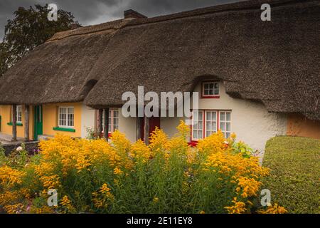 Adare, Irland. Reetgedeckte Hütte im malerischen Dorf Adare, Co. Limerick voller Blumen im Vorgarten 2019 Irland, Europa Stockfoto