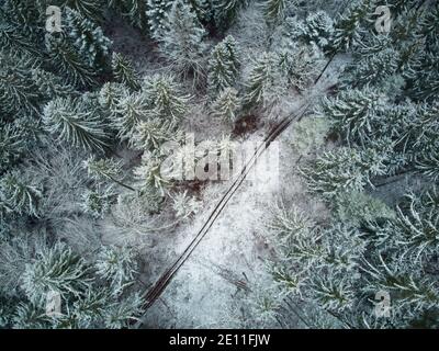 Blick von oben auf einen schneebedeckten Nadelwald. Vogelperspektive auf einen schneebedeckten Wald. Stockfoto