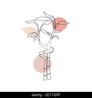 Abstraktes Bild eines Bambus isoliert auf weiß. Stock Vektor