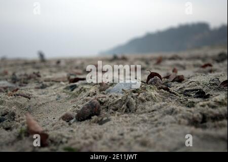 Steine im nassen Sand am Strand vergraben. Stockfoto