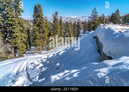 Frostbedecktes Berggelände mit Schnee und hohen Evergreens Blauer Himmel Stockfoto