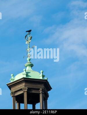 Blackbird sitzt auf einer Wetterfahne im Rathaus von Hendon, mit blauem Himmel im Hintergrund. Stockfoto