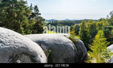 Elephant Sandstone Rocks, Sloni kameny, bei Jitrava im Lausitzer Gebirge, Tschechische Republik Stockfoto