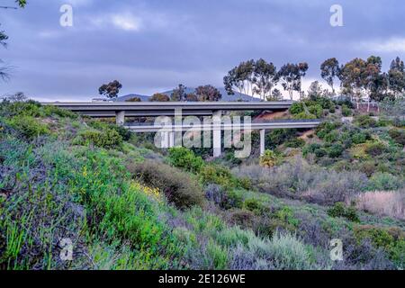 Brücke über den Berg mit üppigem grünen Laub in San bedeckt Diego Kalifornien Stockfoto