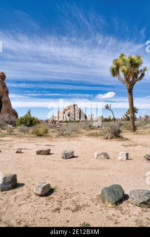 Pfad gesäumt von Felsen am Joshua Tree National Park wolkiger blauer Himmel Stockfoto