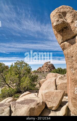 Blick auf den Joshua Tree National Park auf riesige Felsformationen Und friedlicher blauer Himmel Stockfoto