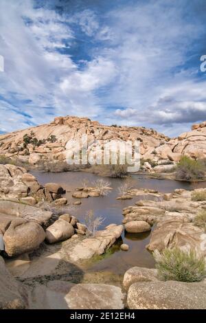 Big Horn Damm und Wüstenlandschaft bei Joshua Tree National Park in Kalifornien Stockfoto