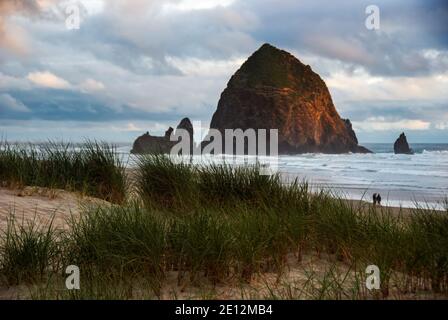 Sonnenuntergang am Cannon Beach, Oregon mit Haystack Rock und den Needles, die die Aussicht mit rosigen Wolken über uns dominieren. Stockfoto