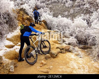 Mountainbiker, die einen steilen Abschnitt von Boise, dem Hull Gulch Trail in Idaho, hinaufziehen und ihre Fahrräder tragen, inmitten von starkem Winterfrost. Stockfoto