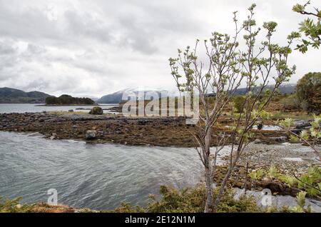Kvernesfjorden, Norwegen Stockfoto