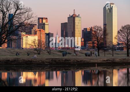 Wunderschöne Aussicht auf die Innenstadt von Dallas, Texas Skyline während des Sonnenuntergangs. Stockfoto