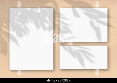 Mehrere horizontale und vertikale Blätter aus weißem strukturiertem Papier auf dem Hintergrund einer sandfarbenen Wand. Mockup Overlay mit den Pflanzenschatten Stockfoto