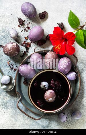 Natürliche Ostereier Farbstoff lila. Hausgemachte Eier werden mit natürlichem Eifarbstoff aus getrockneten Hibiskusblüten auf einer Tischplatte aus grauem Stein gemalt. Draufsicht flach liegend Stockfoto