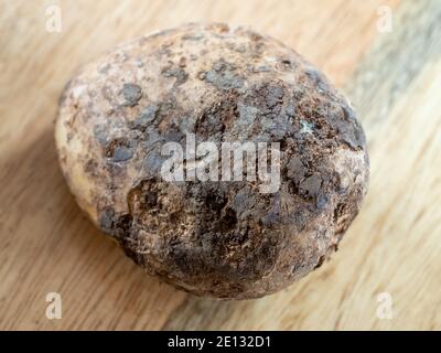 Schmutzig aussehende alte Kartoffel auf einem Holztisch Stockfoto