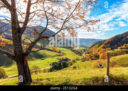 Die Gemeinde Münstertal mit dem Benediktinerkloster St. Trudpert, Herbst, Schwarzwald, Baden-Württemberg, Deutschland Stockfoto