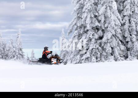 Snowmobiler genießt einen Ausflug an der frischen Luft auf Waldwegen, Kope, Slowenien Stockfoto