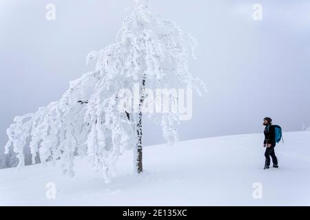 Blick auf eine Frau, die in schneebedeckter Landschaft zu wandern Eisbedeckte gefrorene Bäume Stockfoto