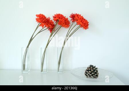 Abstract Stillleben mit drei orange-roten Nelken Blumen & Kiefer Kegel in Glas Vasen gegen weißen Hintergrund Stockfoto