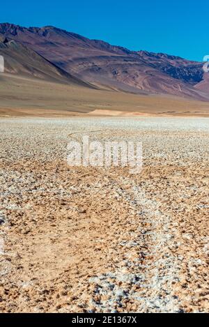 Pfad im Salzsee von Tolar Grande, Argentinien. Klimawandel und Dürre Landschaft Stockfoto