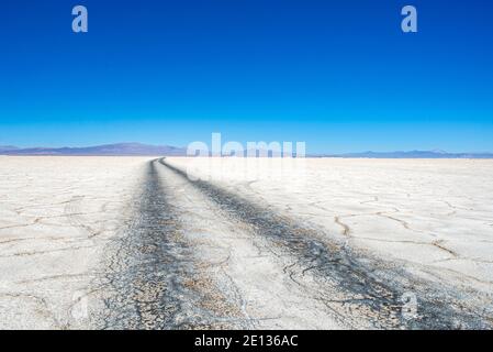 Radschilder auf dem Salzmeer von Salinas Grandes, Argentinien, Anden Stockfoto