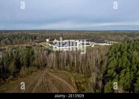 Farm, Viehzucht Blick von oben mit Drohne. Stockfoto
