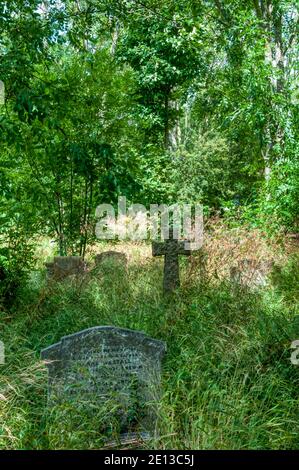 Ein bewachsener Abschnitt des St. Peter's Kirchhofs, Broadstairs, Kent, Stockfoto