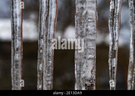 Saugen auf der Straße im Winter kalt 2021 Stockfoto