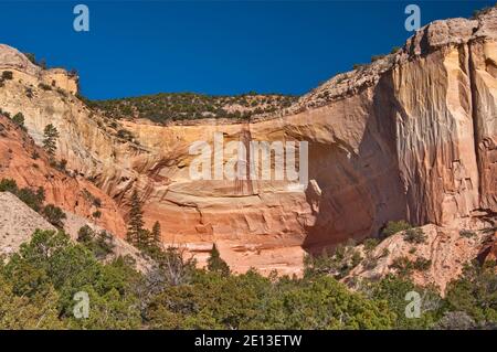 Echo Amphitheater natürliche Felsnische in einer Klippe in Mesa de las Viejas in der Nähe von Abiquiu, New Mexico, USA Stockfoto