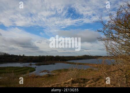 RSPB Reserve College Lake Hertfordshire Stockfoto