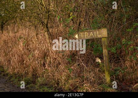 Wegweiser am RSPB Reserve College Lake Hertfordshire Reserve Stockfoto