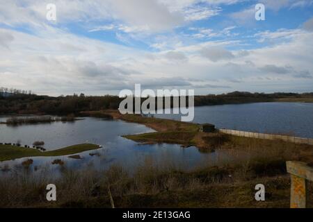 RSPB Reserve College Lake Hertfordshire Stockfoto