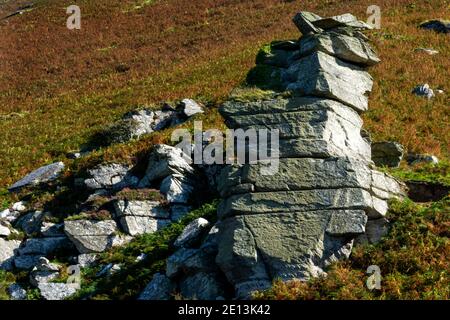 Valley of the Rocks, Lynmouth, Devon, England, Großbritannien Stockfoto