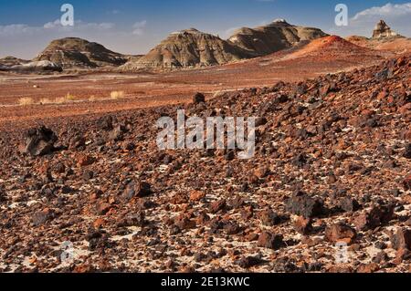Vulkanisches Gestein in der Bisti De-Na-Zin Wilderness, New Mexico, USA Stockfoto