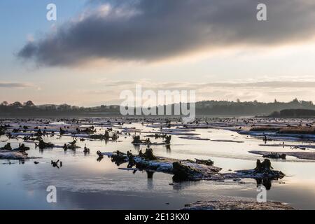 Macroom, The Gearagh, Cork, Irland. Januar 2021. Ein kalter frostiger Wintermorgen vor Sonnenaufgang im Gearagh nahe Macroom, Co. Cork, Irland. - Credit; David Creedon / Alamy Live News Stockfoto