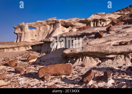 Vulkanische Gesteine und skurrile Sandsteinformationen in der Wildnis von Bisti De-Na-Zin, New Mexico, USA Stockfoto