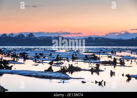 Macroom, The Gearagh, Cork, Irland. Januar 2021. Ein kalter frostiger Wintermorgen vor Sonnenaufgang im Gearagh nahe Macroom, Co. Cork, Irland. - Credit; David Creedon / Alamy Live News Stockfoto