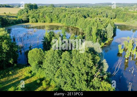 Hellmoor, Feuchtgebiet, Lämmerhof, Panten, Kreis Herzogtum Lauenburg, Schleswig-Holstein, Deutschland Stockfoto