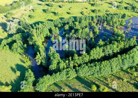 Hellmoor, Feuchtgebiet, Lämmerhof, Panten, Kreis Herzogtum Lauenburg, Schleswig-Holstein, Deutschland Stockfoto