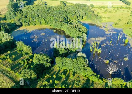 Hellmoor, Feuchtgebiet, Lämmerhof, Panten, Kreis Herzogtum Lauenburg, Schleswig-Holstein, Deutschland Stockfoto