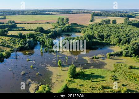 Hellmoor, Feuchtgebiet, Lämmerhof, Panten, Kreis Herzogtum Lauenburg, Schleswig-Holstein, Deutschland Stockfoto