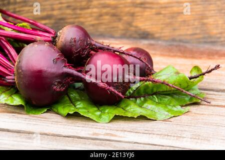 Rote Bete Knollen mit grünen Blättern auf Holztisch. Zubereitung von frischem Salat. Frisches Gemüse für vegetarische Küche. Rüben auf dem Straßenmarkt. Stockfoto
