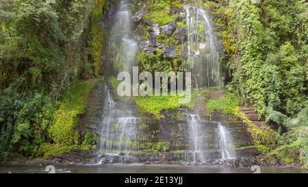 Wasserfall läuft eine Klippe von einer Quelle hoch auf der Talseite. In üppigem Nebelwald in der Nähe des Vulkans Cotopaxi, Ecuador. Stockfoto