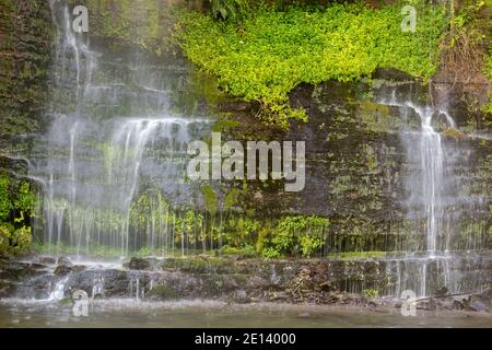 Wasserfall läuft eine Klippe von einer Quelle hoch auf der Talseite. In üppigem Nebelwald in der Nähe des Vulkans Cotopaxi, Ecuador. Stockfoto