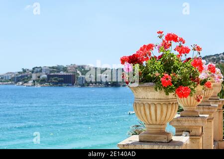 Palma di Maiorca Stockfoto