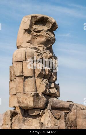 Dies ist die archäologische Stätte 1350BC an den Memnonkolossen des alten Ägyptens, nicht weit vom Nil und der Stadt Luxor, die früher als Theben bekannt war. Die Statuen sind vom Pharao Amenhotep III, es gibt zwei kleinere Statuen an seinen Füßen, eine ist seine Mutter, die andere seine Frau. Ursprünglich gebaut, um den Eingang zum Amenoteps Tempel gegen das Böse zu schützen, wurden sie auch gesehen, um das Westufer des Nils zu bewachen. Die Kolossi haben unter schweren Erdbebenschäden gelitten, aber nach 3500 Jahren stehen bleiben. Stockfoto