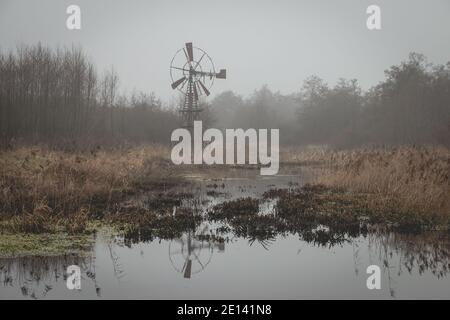 Alte rostige Metallwindmühle, die in einer Wasserlandschaft Wasser abpumpt, aufgenommen im Winter im Naturschutzgebiet Lendenvallei in der Nähe des Schlepptau Stockfoto